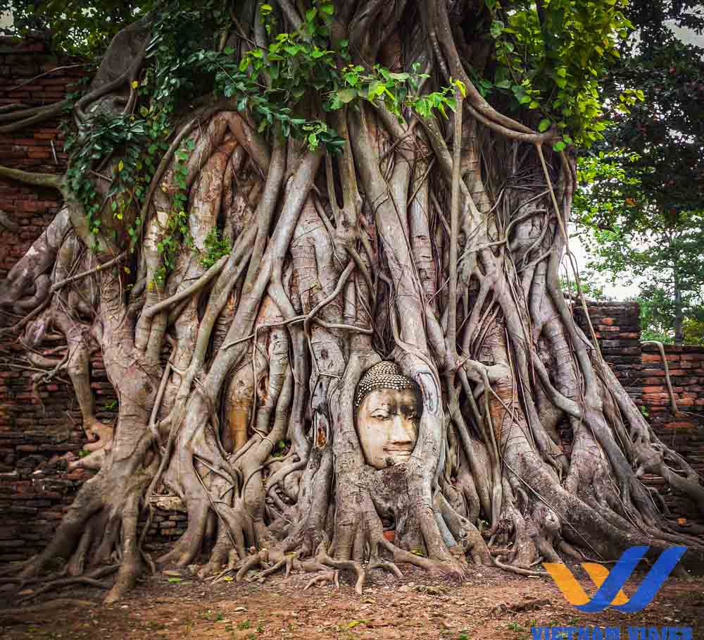 o que fazer na tailândia