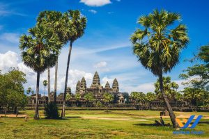 Tour por Siem Reap y Phnom Penh