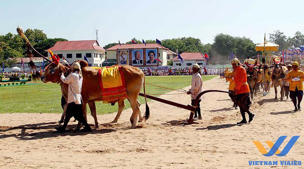 qué es festival en camboya