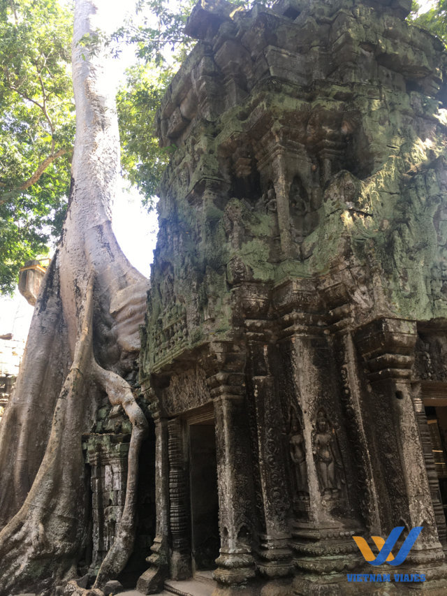 guía visitar en Siem Reap