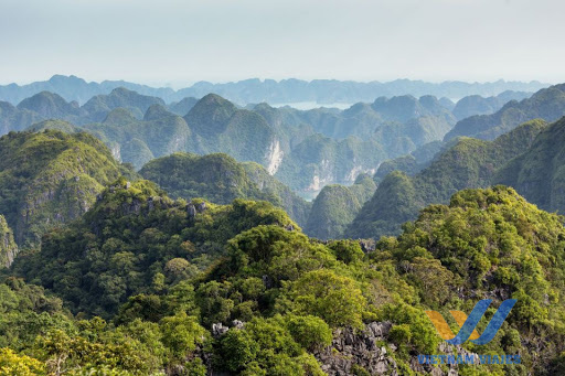 Cosas imprescindibles de ver en halong