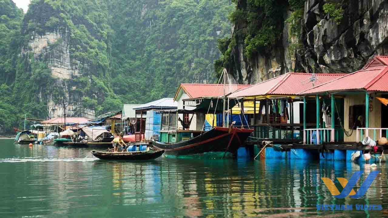 cosas para ver en halong vietnam