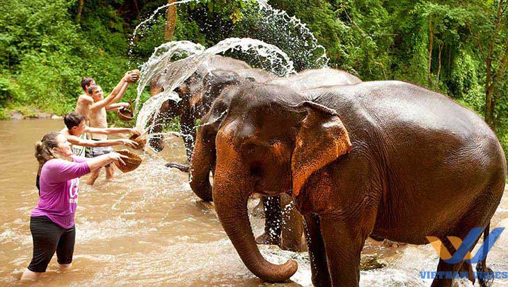 qué visitar en chiang mai tailandia