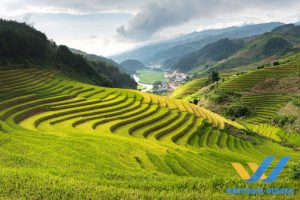 Tour por norte de Vietnam