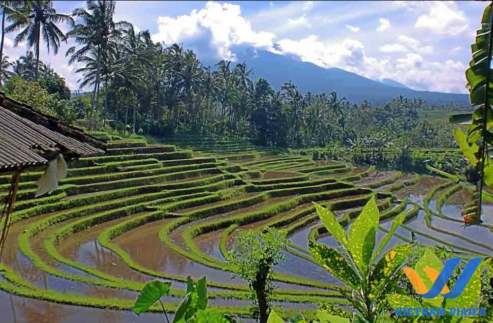 Roteiros de Bali
