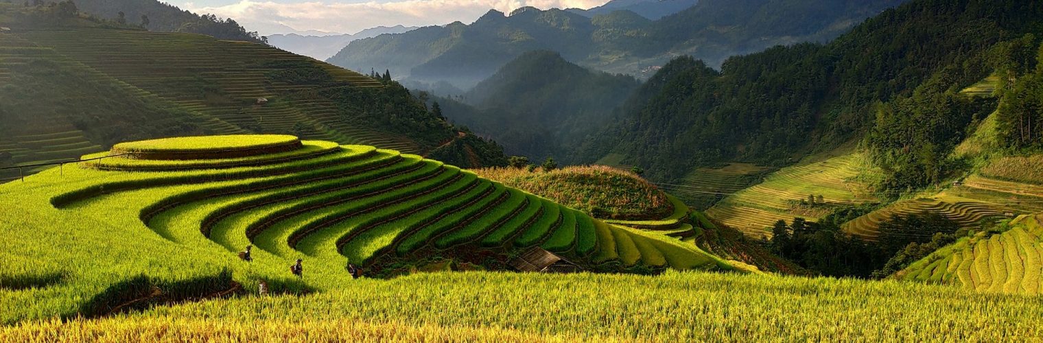 Viajes a Vietnam y Sudeste asiatico