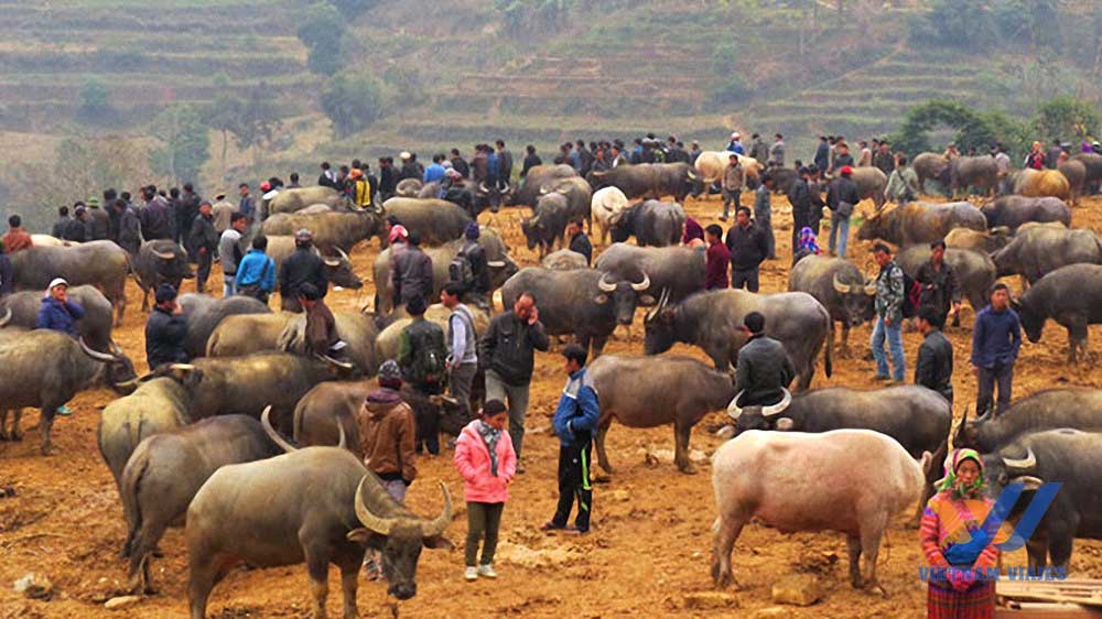 qué ver en Sapa Vietnam