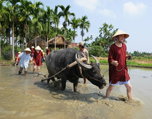 Ecotour en hoian
