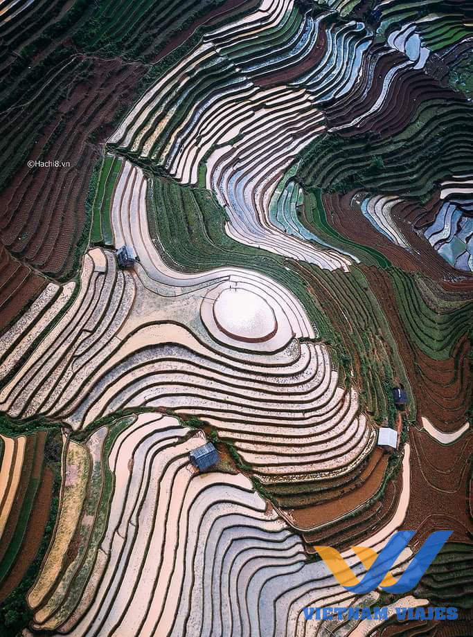 Campo de arroz em Mu Cang Chai