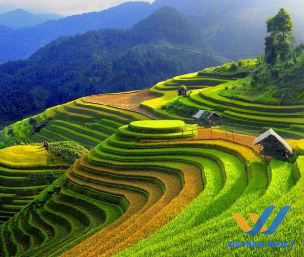 Rice Terrace em Mu Cang Chai