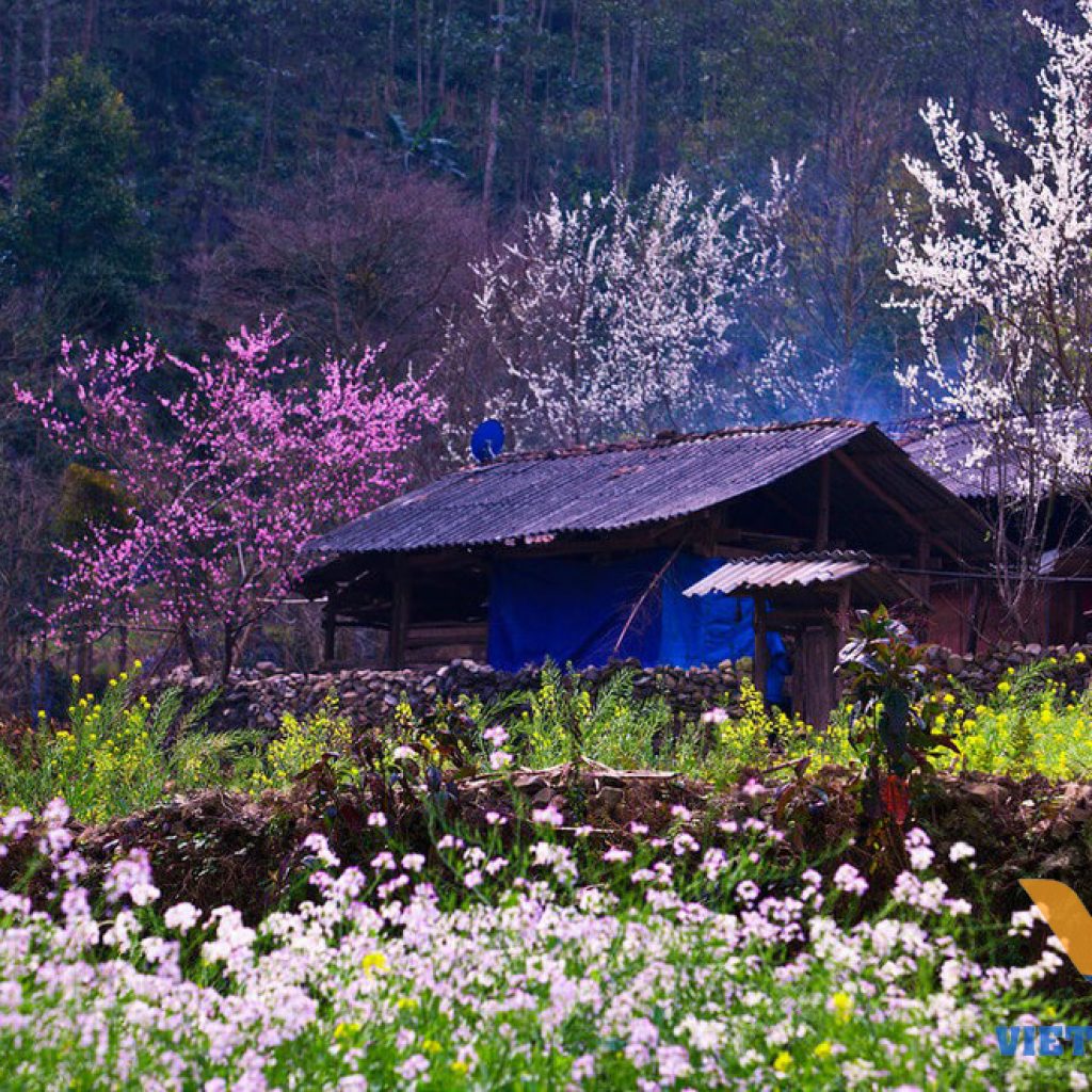 cosas para ver en ha giang