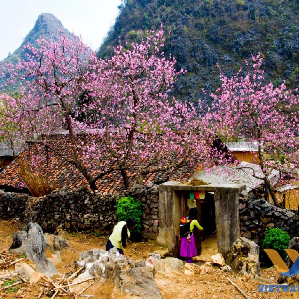 qué hacer en ha giang