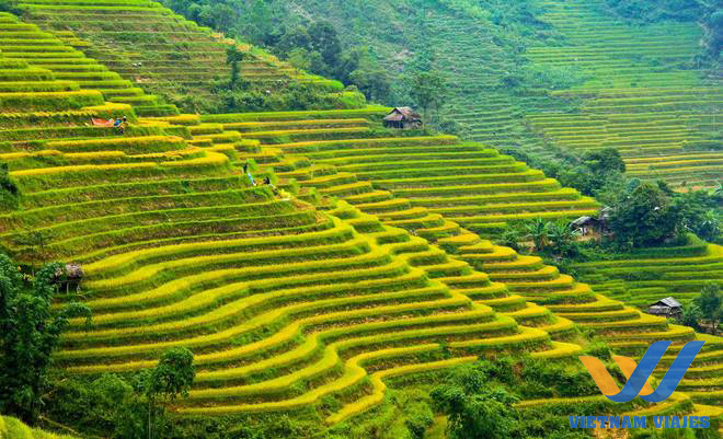 Terrazas đe arroz en Ha Giang