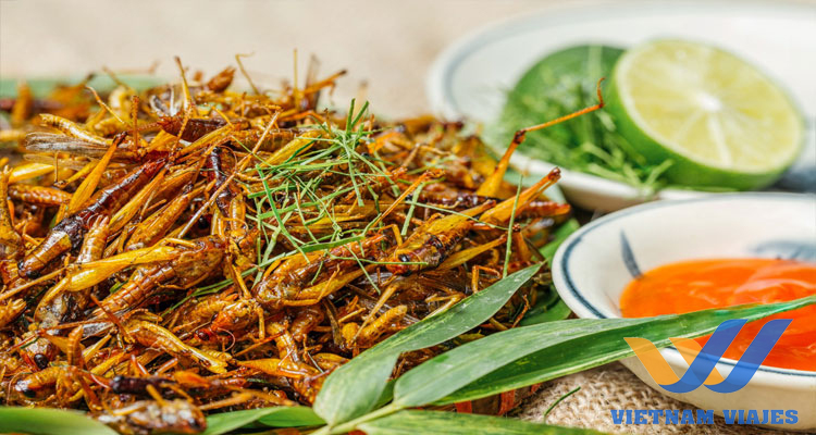 qué comer en Mu cang chai, vietnam