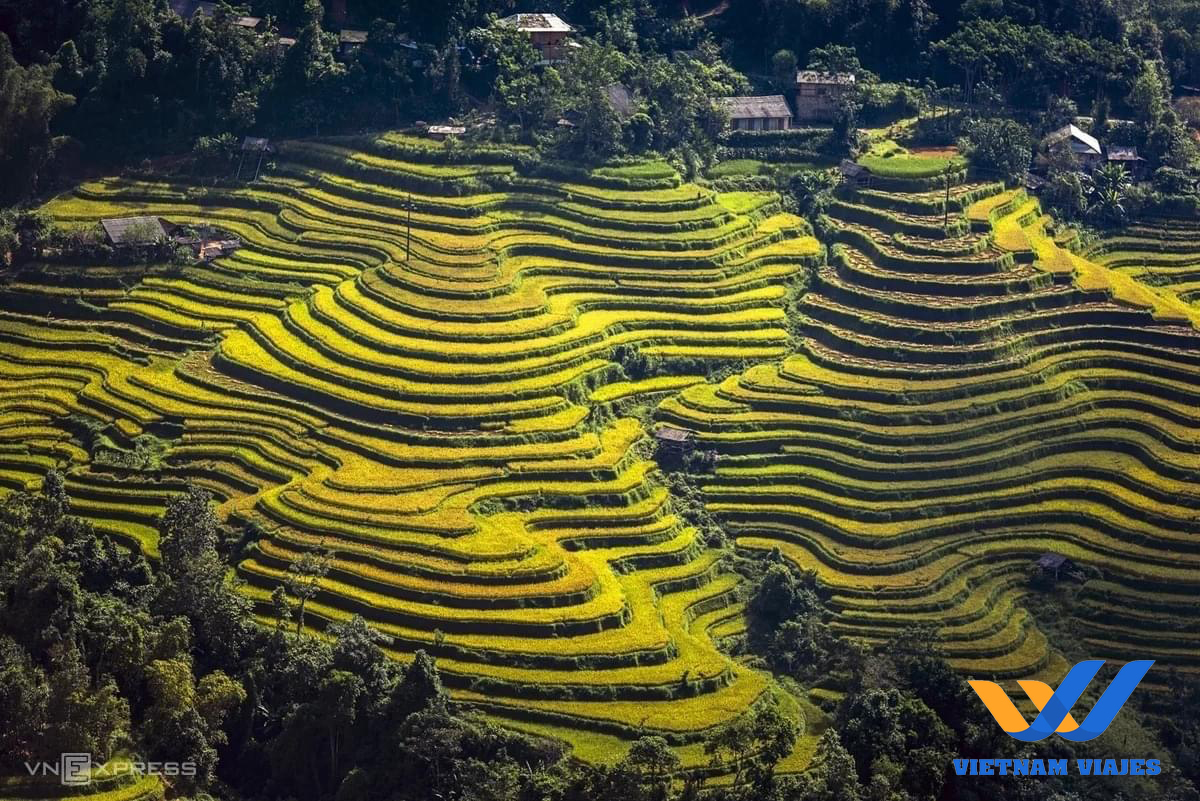 qué ver en mu cang chai vietnam