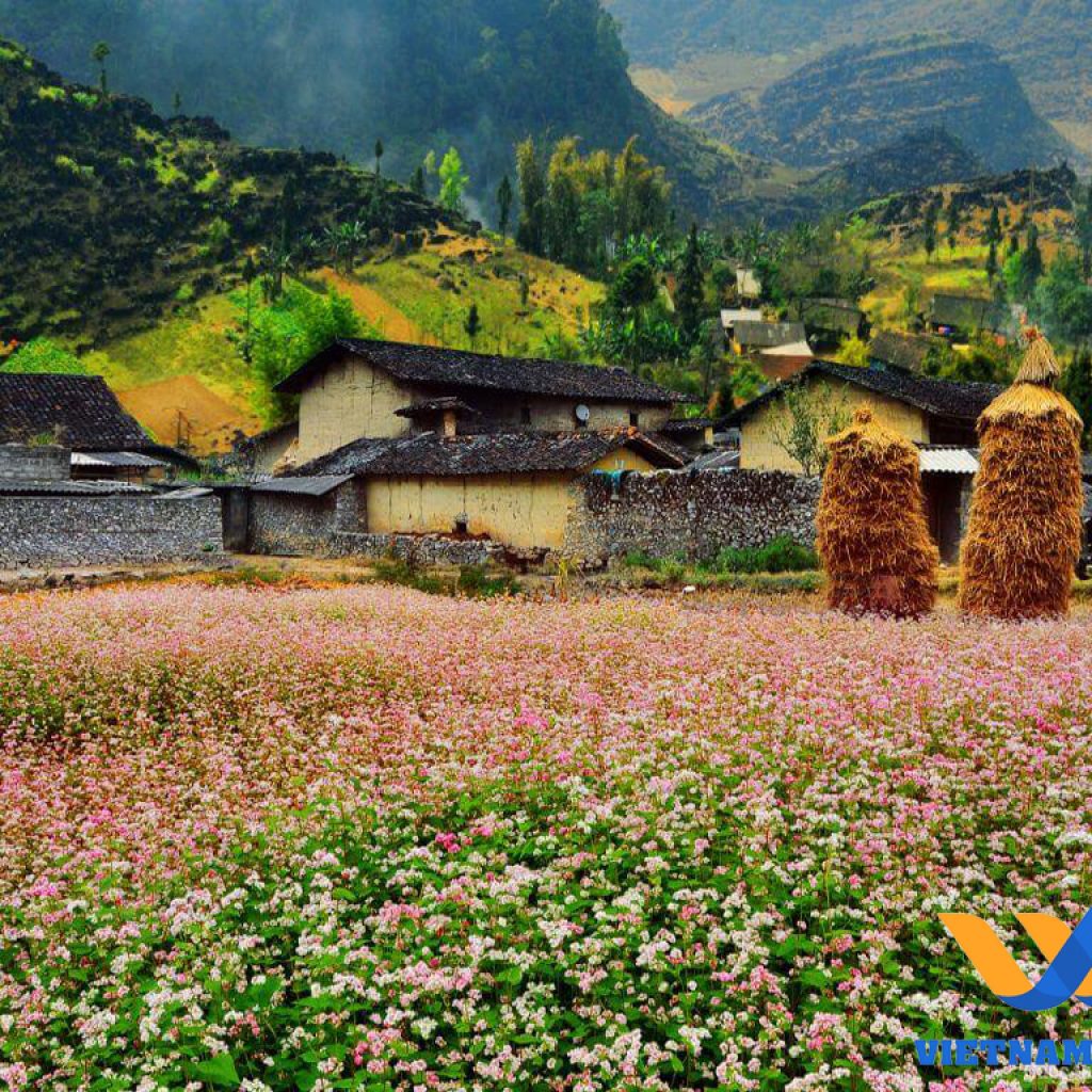 qué hacer en ha giang