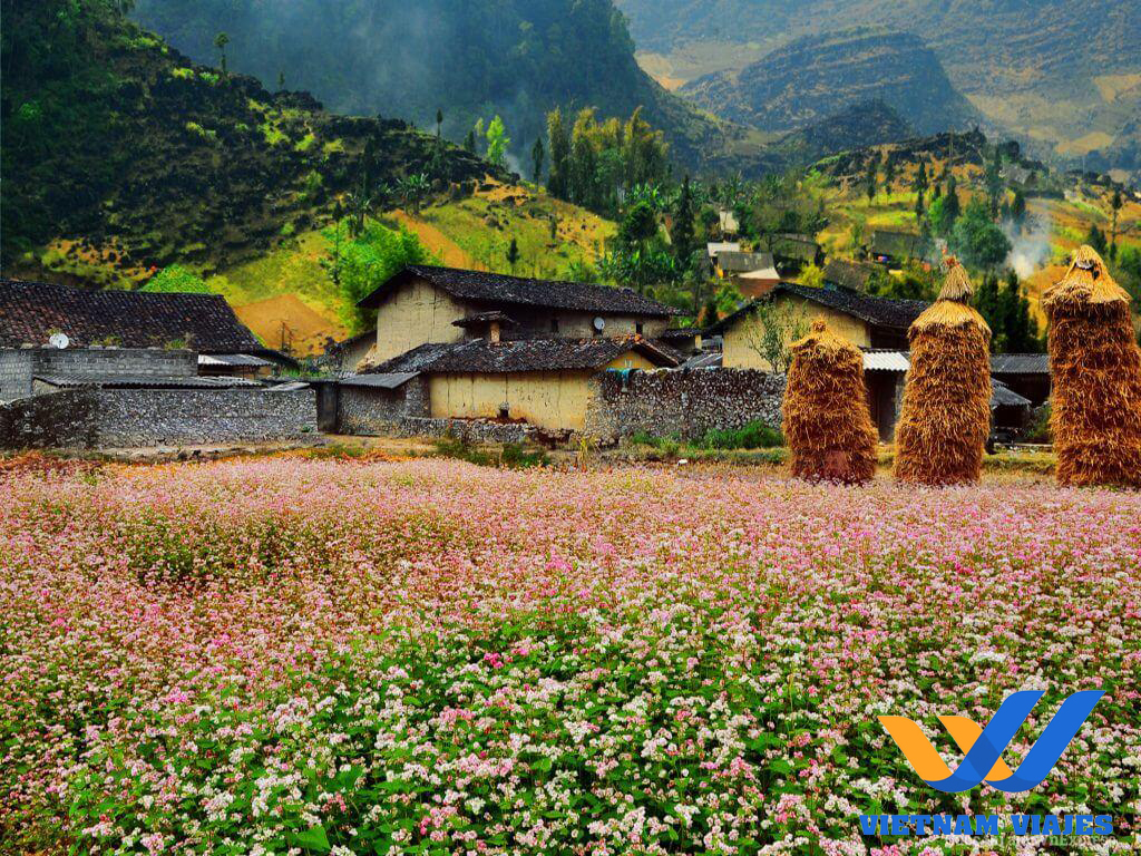 qué ver en ha giang en octubre
