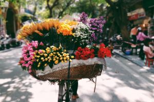 Tour por Vietnam, Tailandia y Bali