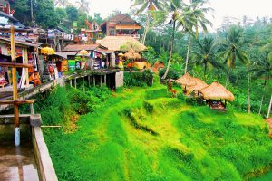 Tour Bali